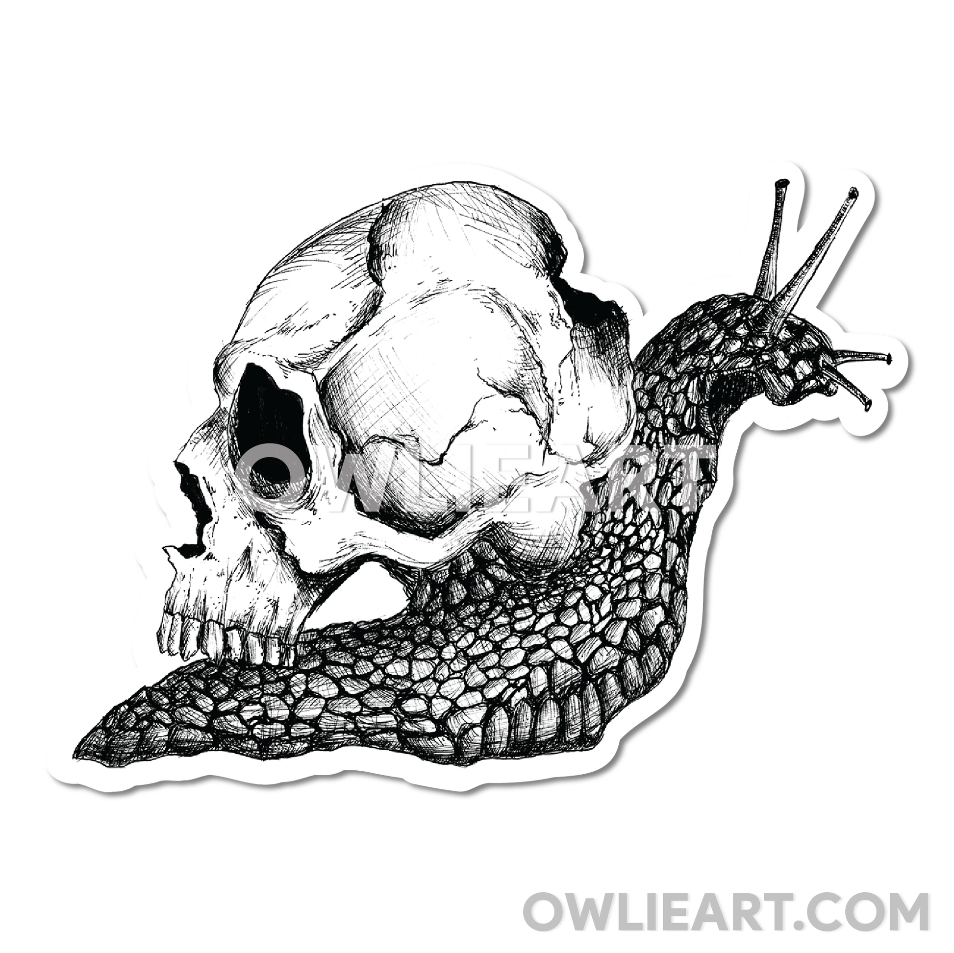 Skull Snail Waterproof Vinyl Sticker - owlieart